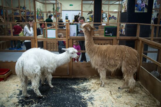 Контактный зоопарк в Москве