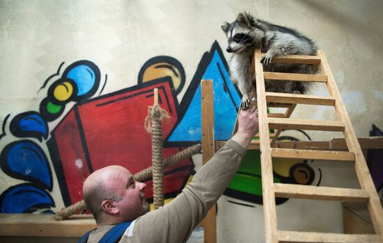 Контактный зоопарк в Москве