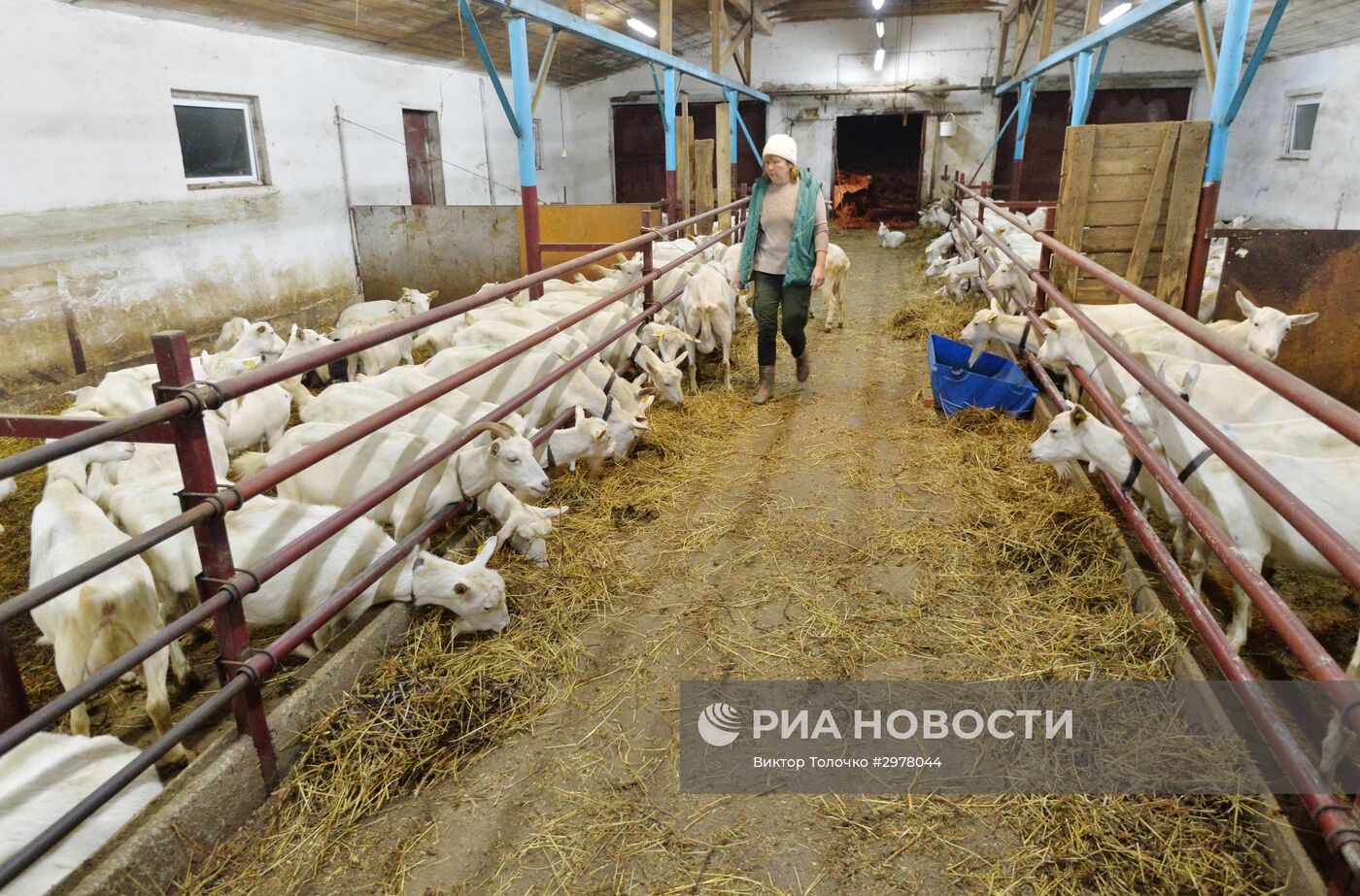 Фермерское хозяйство "Дак" в Белоруссии