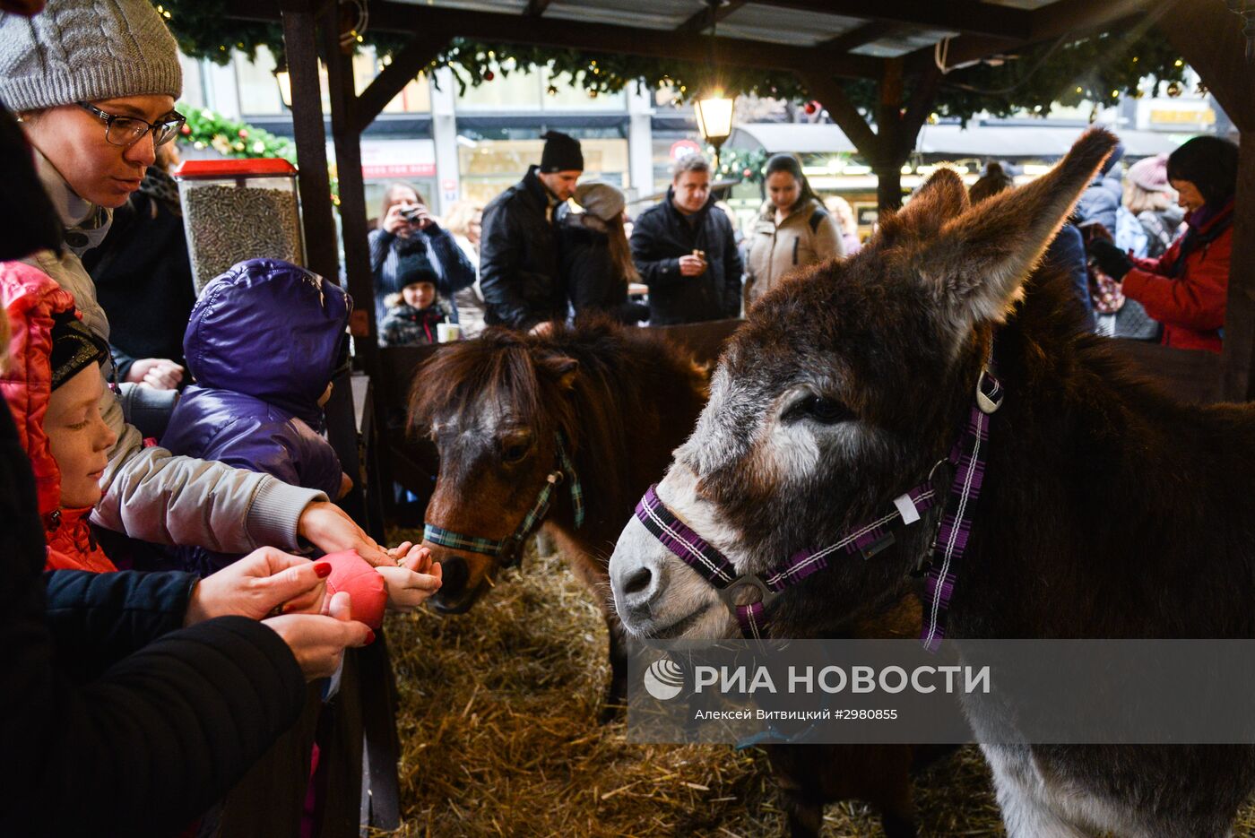 Открытие Рождественских ярмарок в Праге