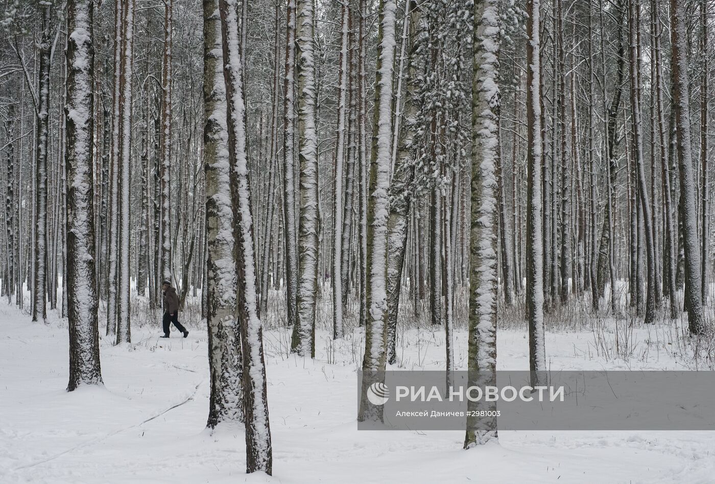 Зима в Санкт-Петербурге.