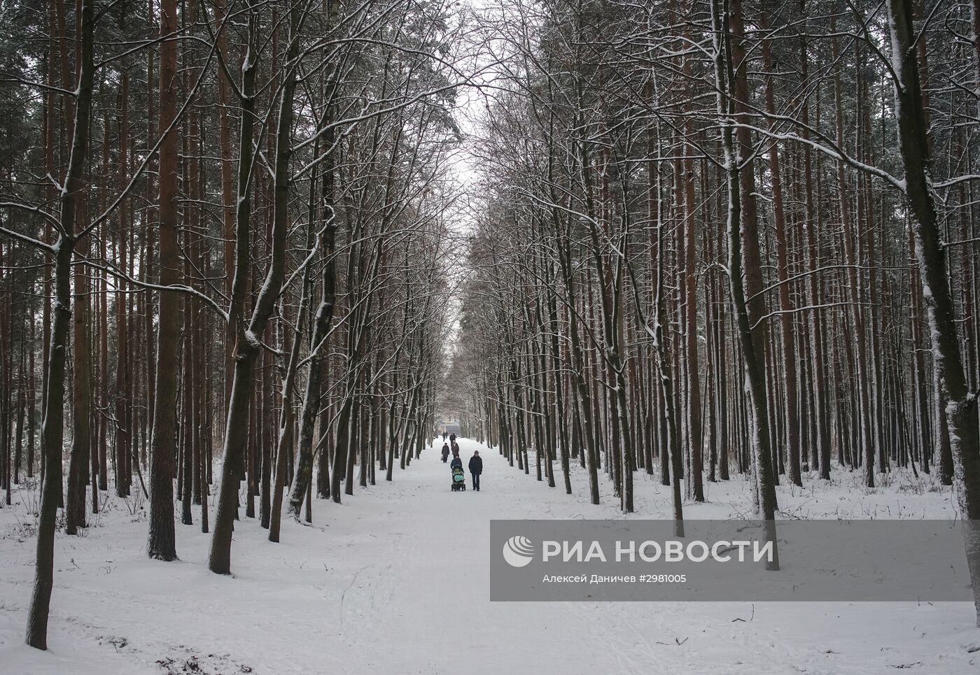 Зима в Санкт-Петербурге.