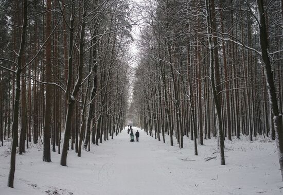 Зима в Санкт-Петербурге.
