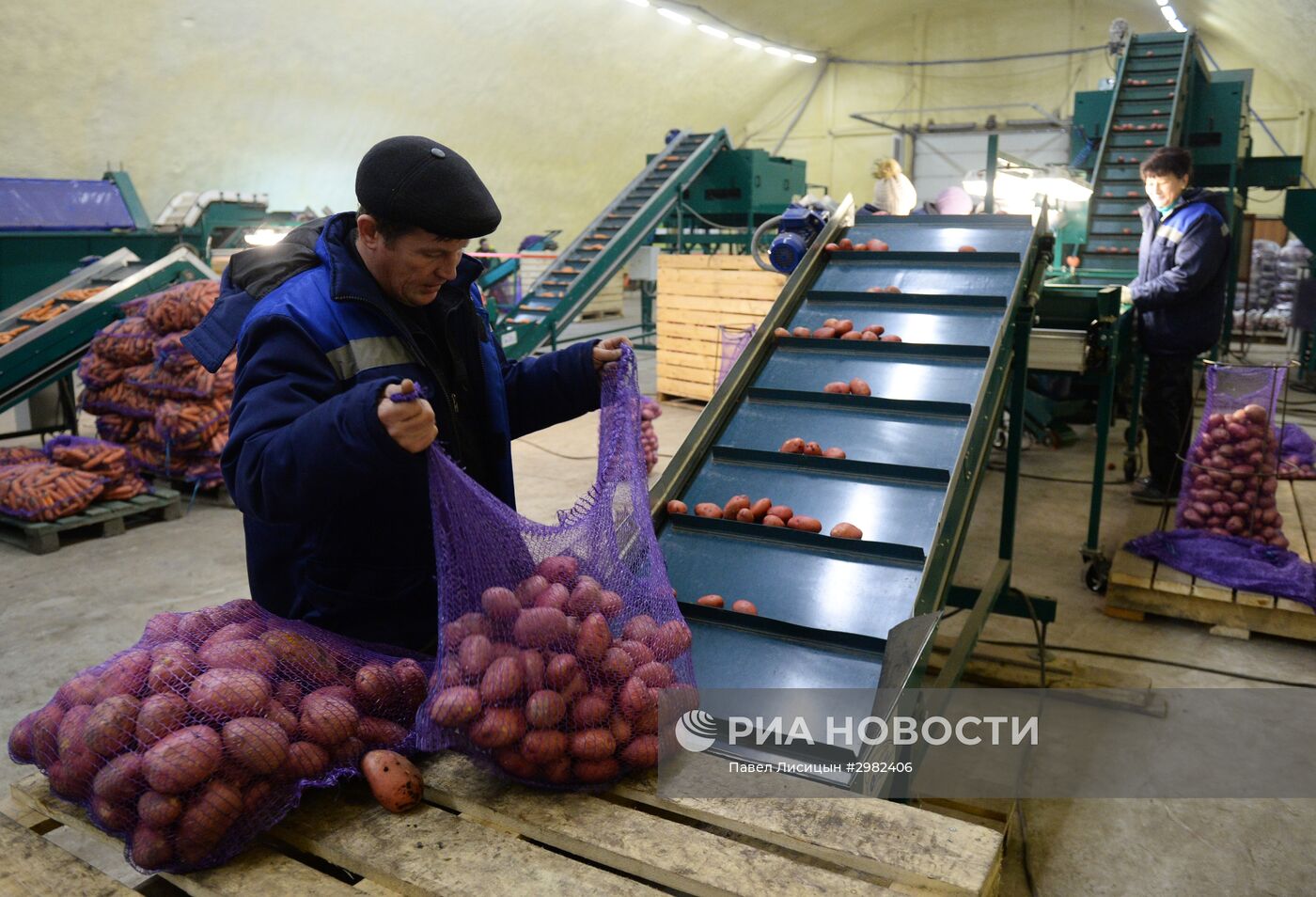 Логистический центр по переработке овощей в Свердловской области