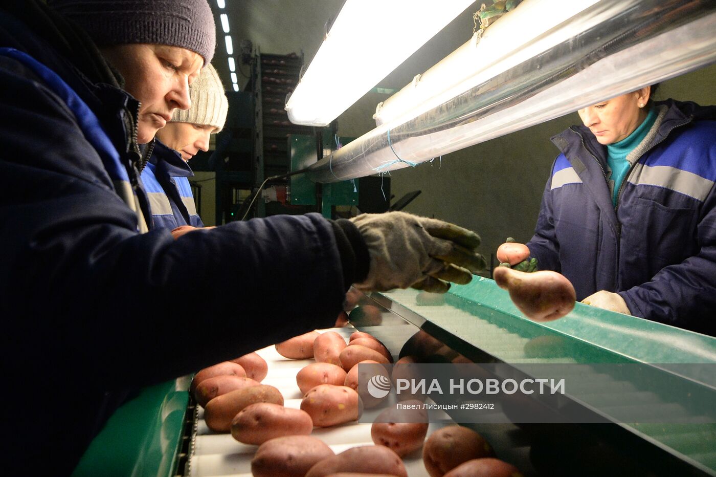 Логистический центр по переработке овощей в Свердловской области