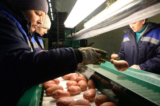 Логистический центр по переработке овощей в Свердловской области