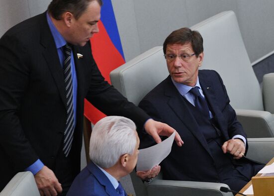 Пленарное заседание Госдумы РФ