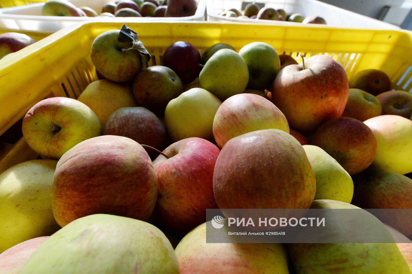 Консервный Завод "Спасский" в Приморском крае