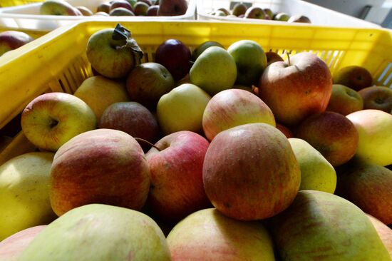 Консервный Завод "Спасский" в Приморском крае