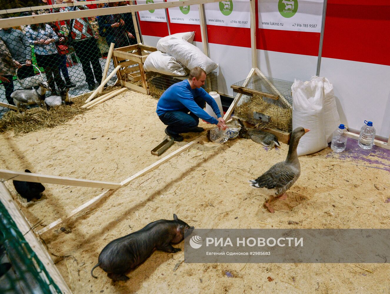 Гастрономический фестиваль "Фуд шоу"