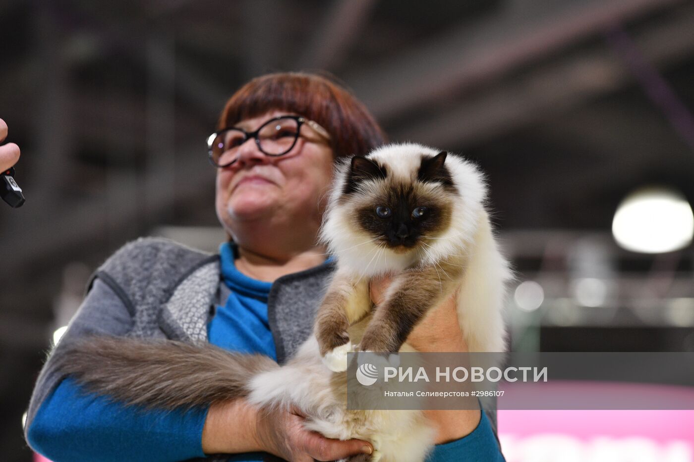 Выставка кошек "Гран-при Royal Canin" в Москве