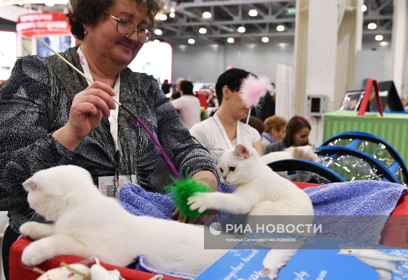 Выставка кошек "Гран-при Royal Canin" в Москве