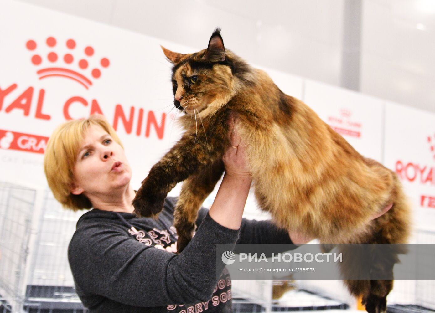 Выставка кошек "Гран-при Royal Canin" в Москве