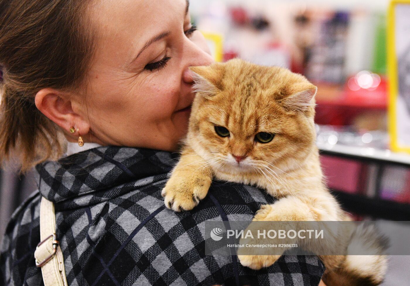 Выставка кошек "Гран-при Royal Canin" в Москве