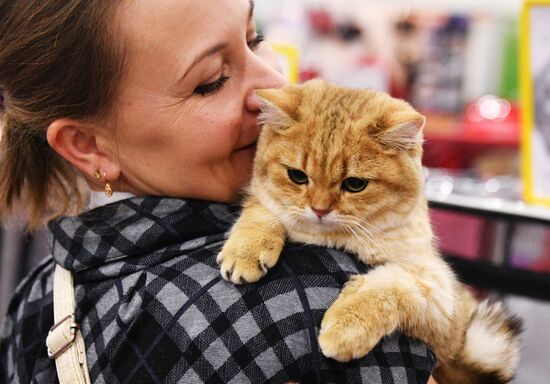 Выставка кошек "Гран-при Royal Canin" в Москве