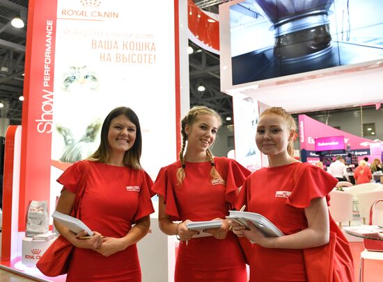 Выставка кошек "Гран-при Royal Canin" в Москве