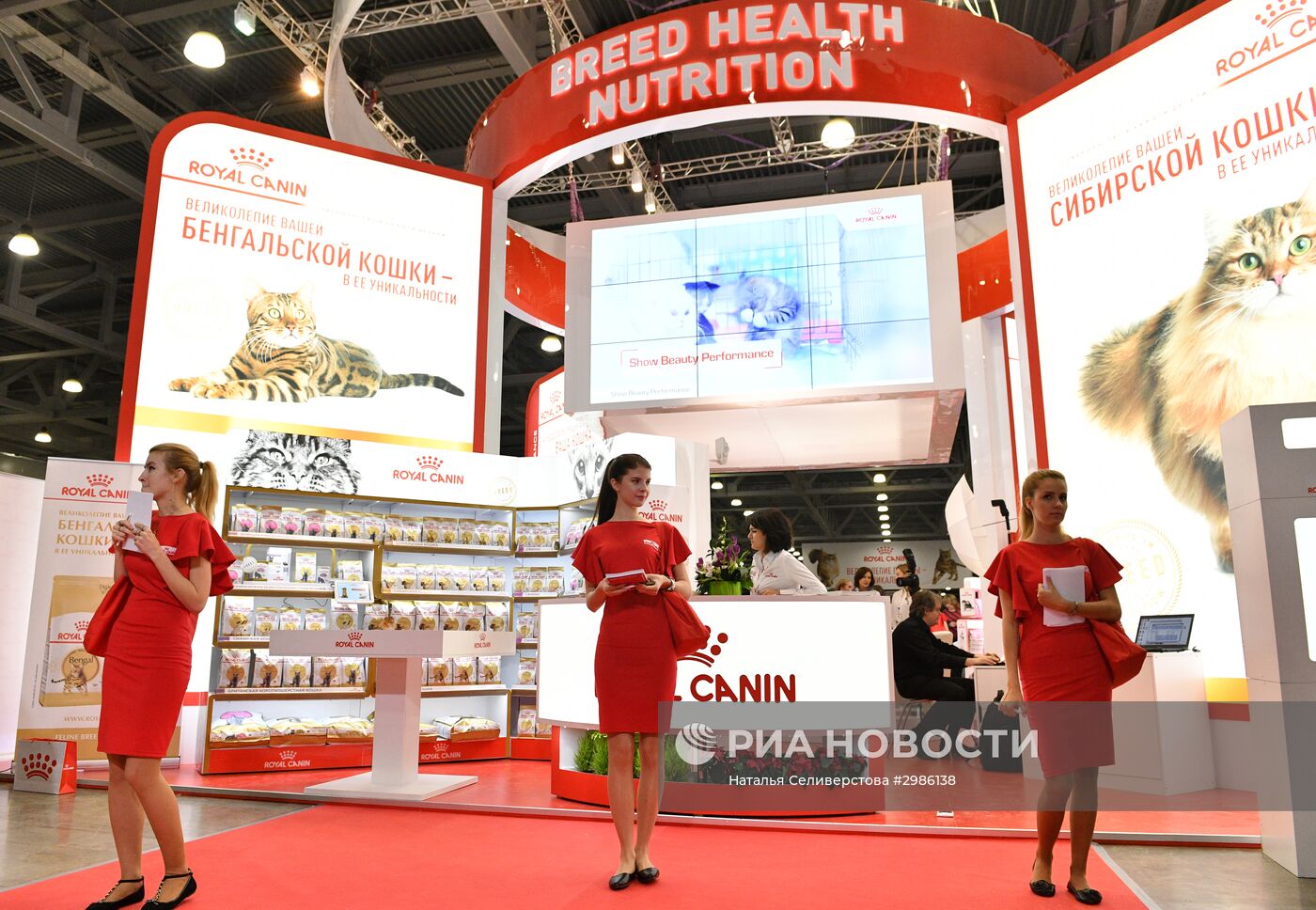 Выставка кошек "Гран-при Royal Canin" в Москве