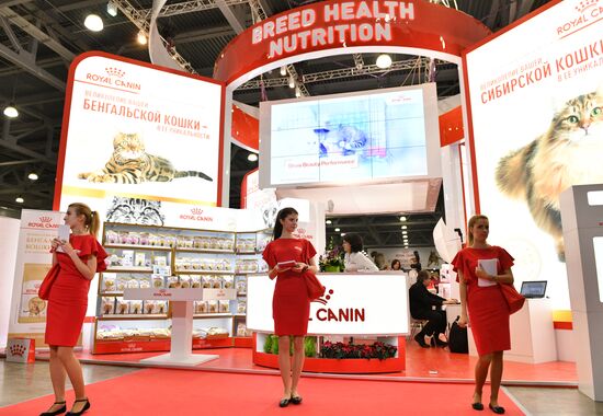 Выставка кошек "Гран-при Royal Canin" в Москве