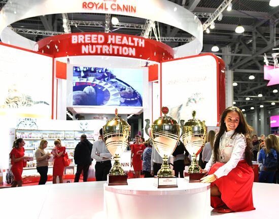 Выставка кошек "Гран-при Royal Canin" в Москве