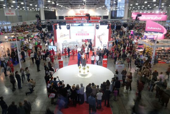 Выставка кошек "Гран-при Royal Canin" в Москве