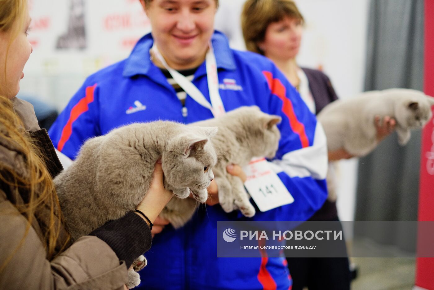 Выставка кошек "Гран-при Royal Canin" в Москве