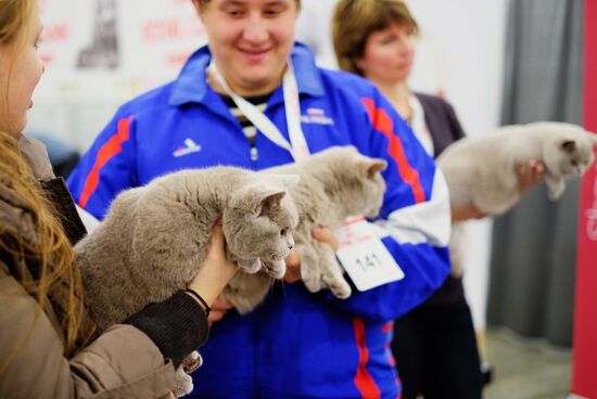 Выставка кошек "Гран-при Royal Canin" в Москве