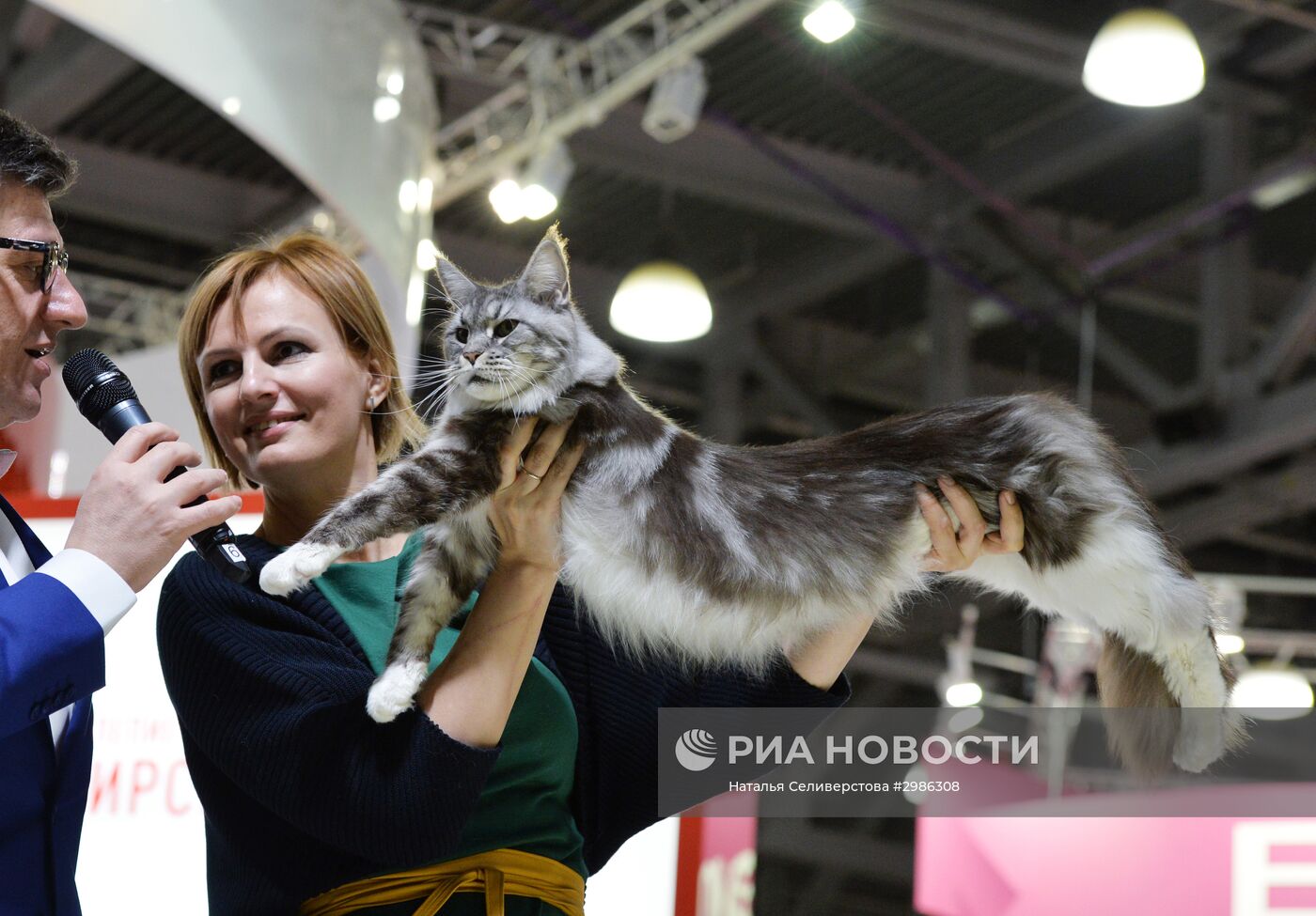 Выставка кошек "Гран-при Royal Canin" в Москве