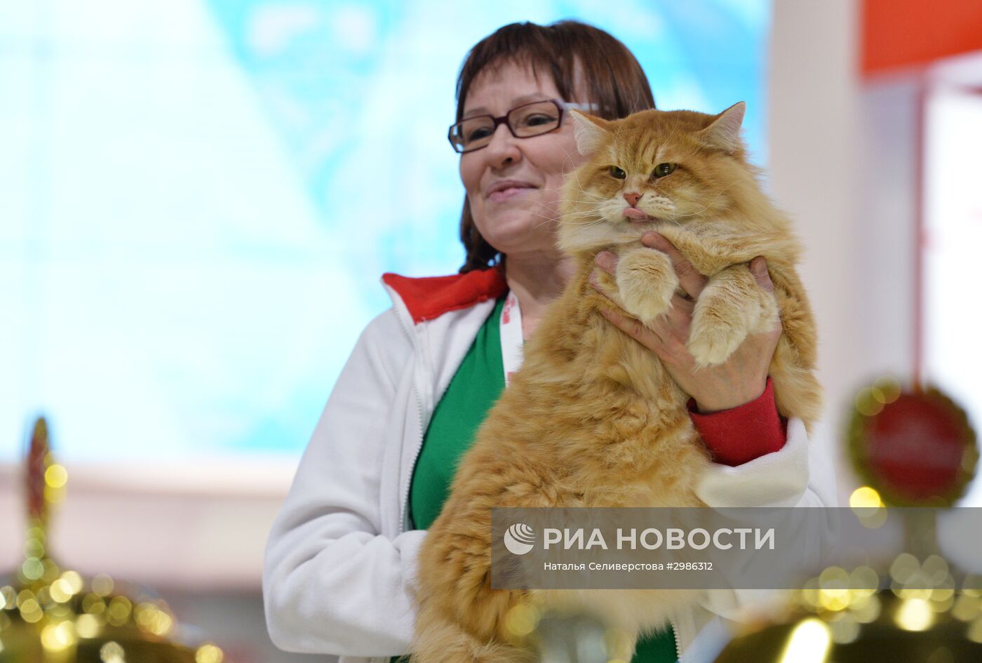 Выставка кошек "Гран-при Royal Canin" в Москве