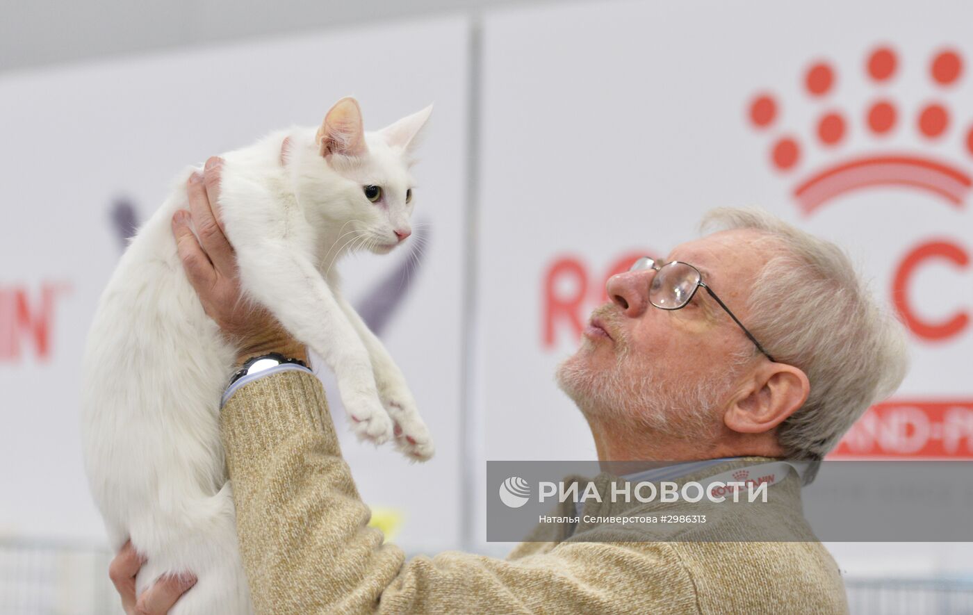 Выставка кошек "Гран-при Royal Canin" в Москве