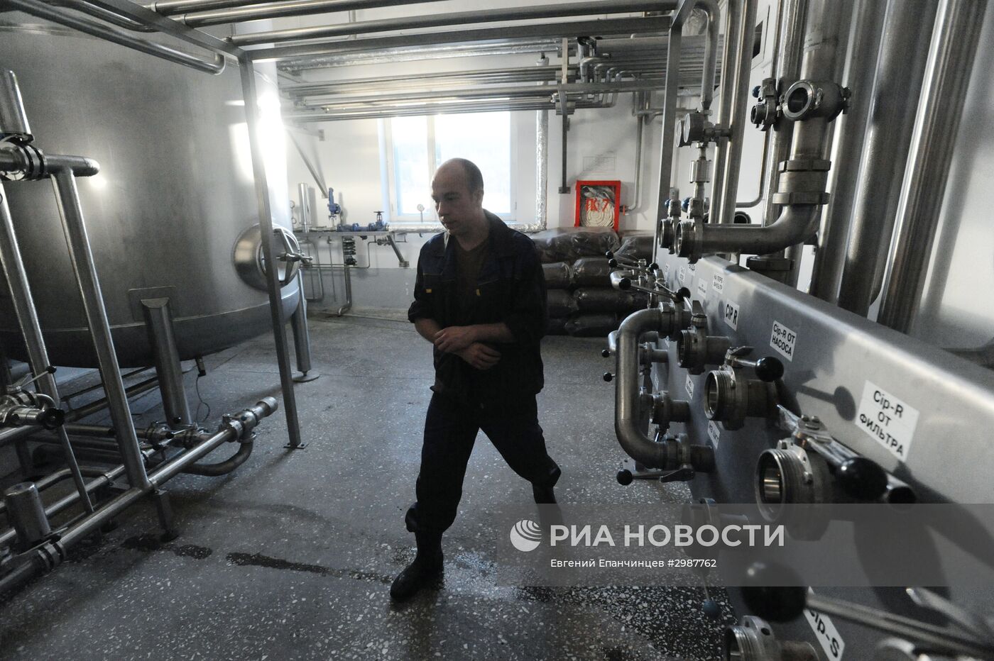 Производство безалкогольных напитков и пива в Чите