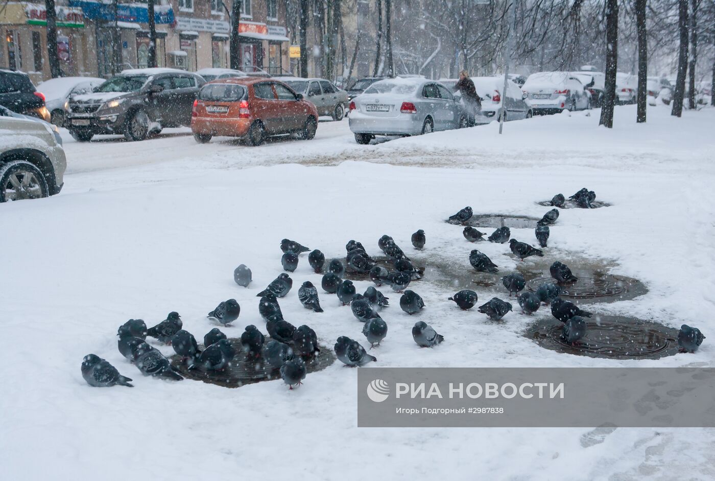 Зима в Петрозаводске