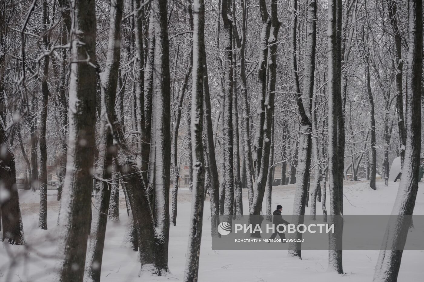 Зима в Великом Новгороде