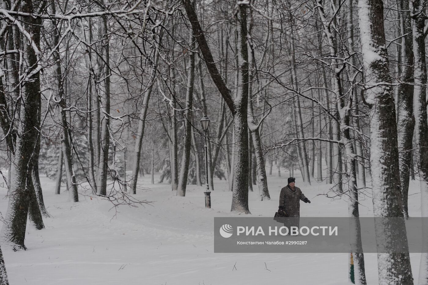 Зима в Великом Новгороде