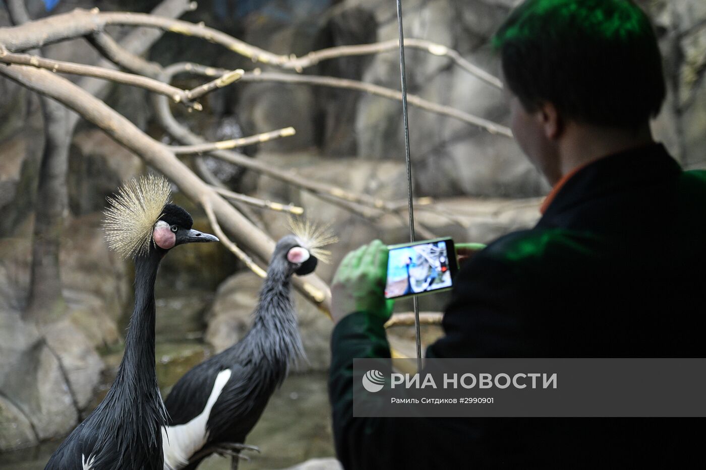 Открытие "Крокус Сити Океанариума"