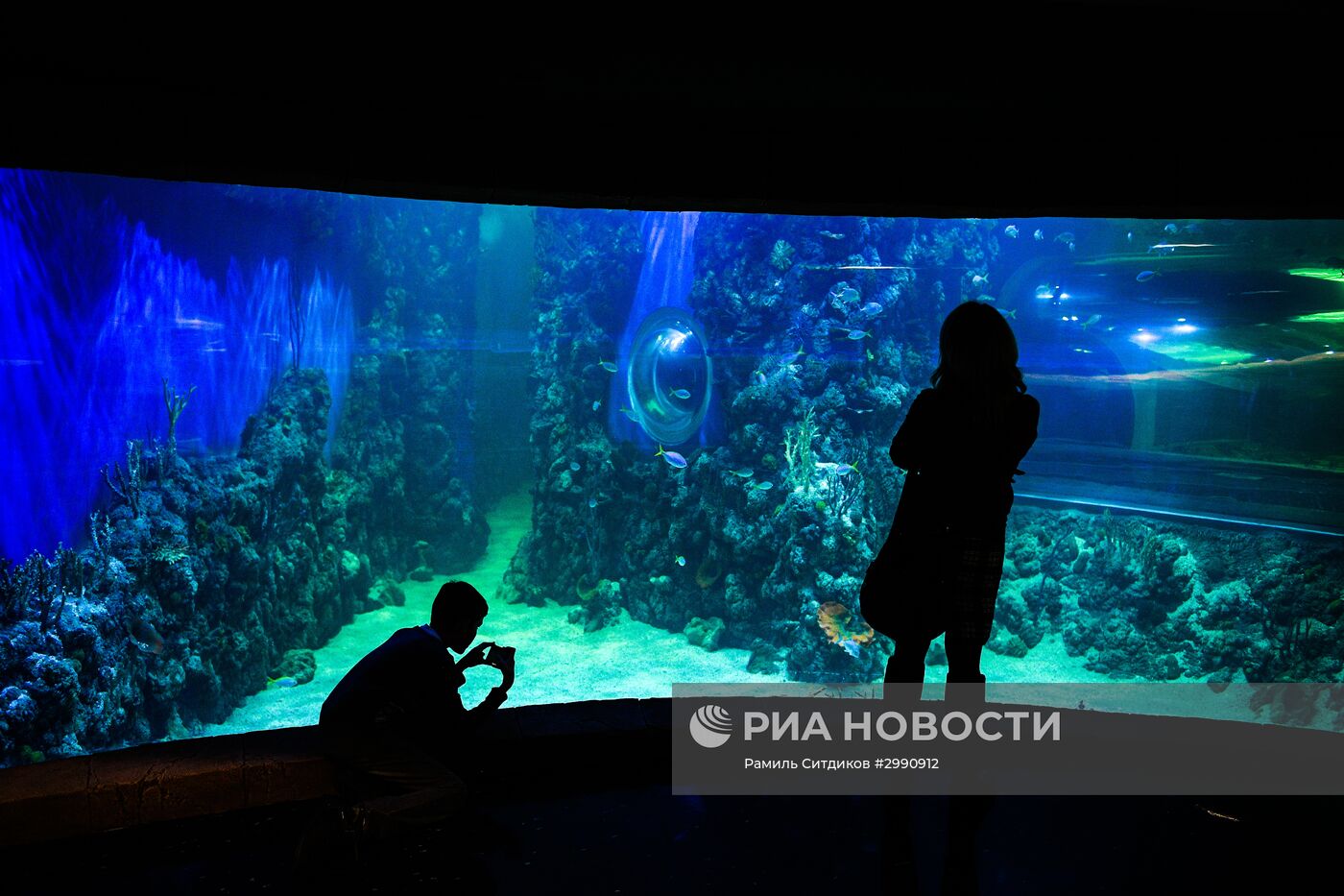 Открытие "Крокус Сити Океанариума"