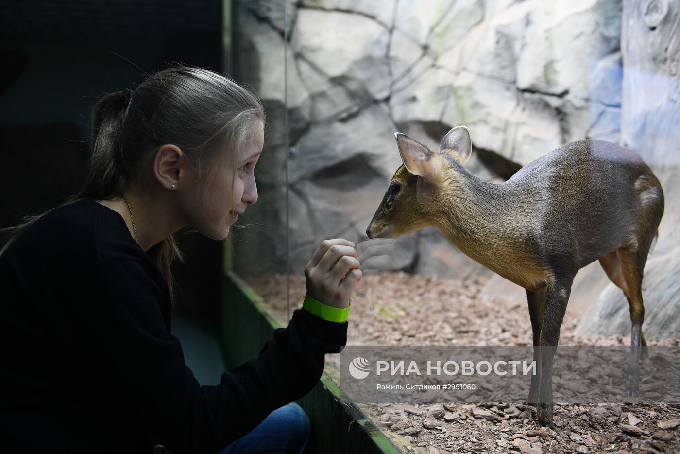 Открытие "Крокус Сити Океанариума"