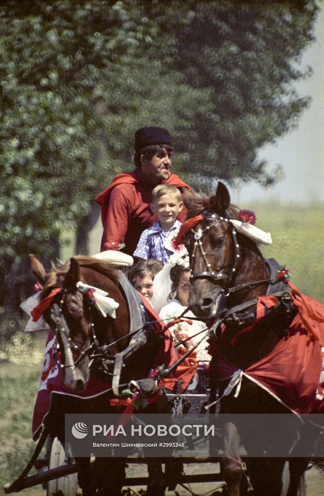 Колхоз "Октябрь" на Кубани