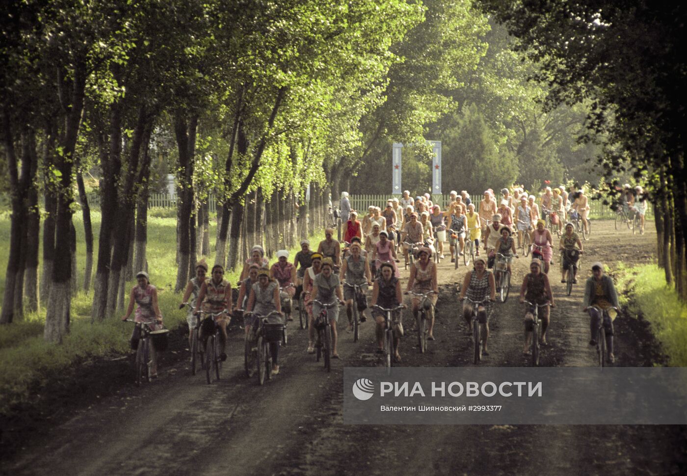 Колхоз "Октябрь" на Кубани