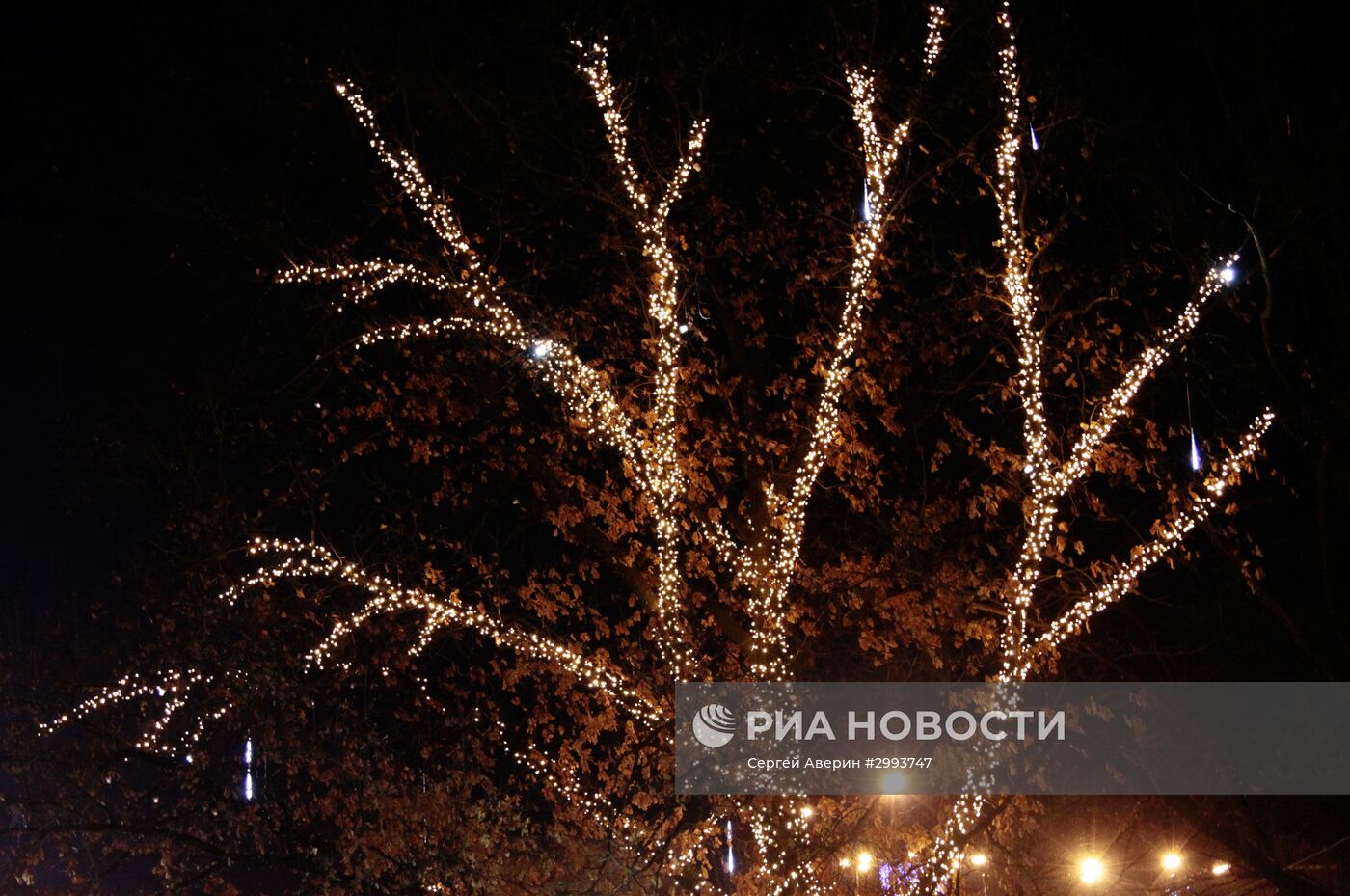 Предновогодний Донецк