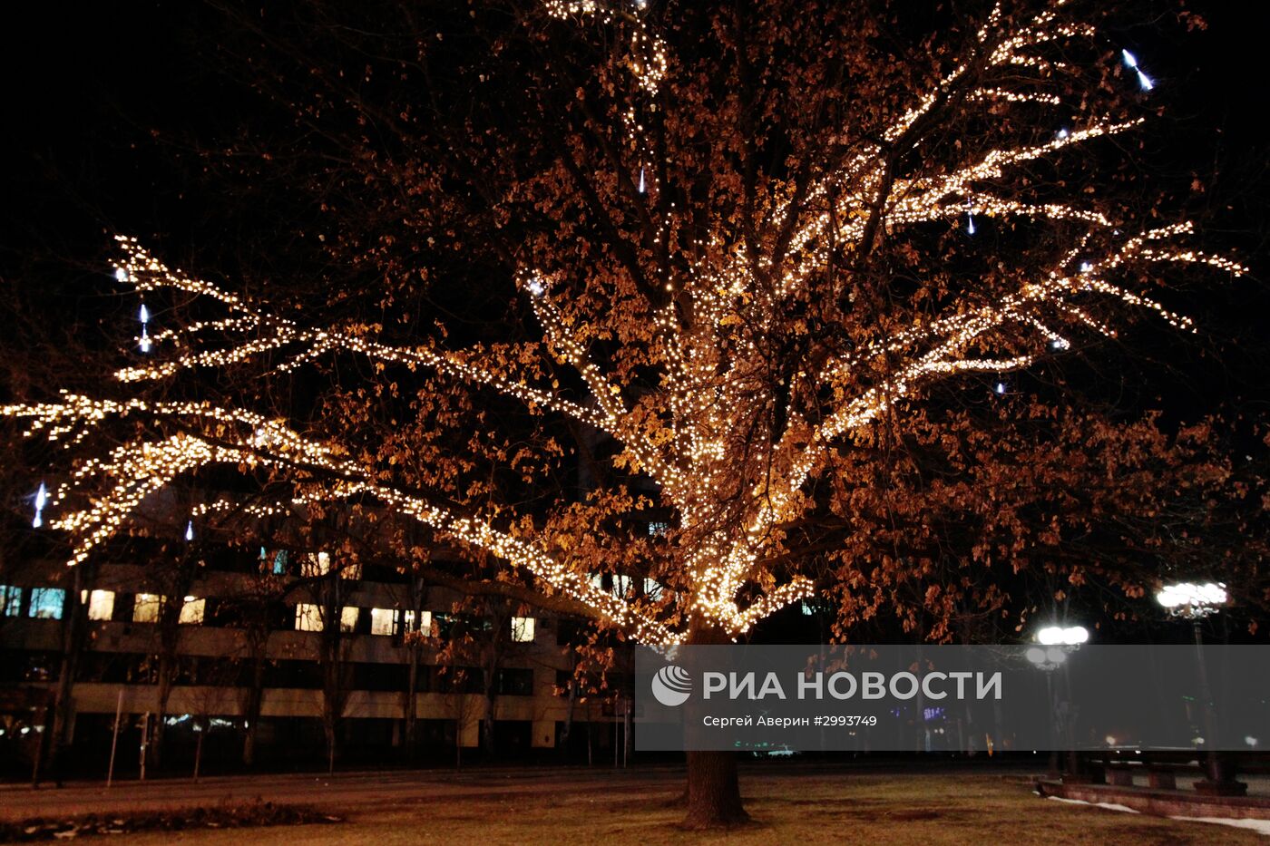 Предновогодний Донецк