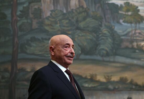 Встреча министра иностранных дел РФ С.В. Лаврова с председателем парламента Ливии А. Салехом