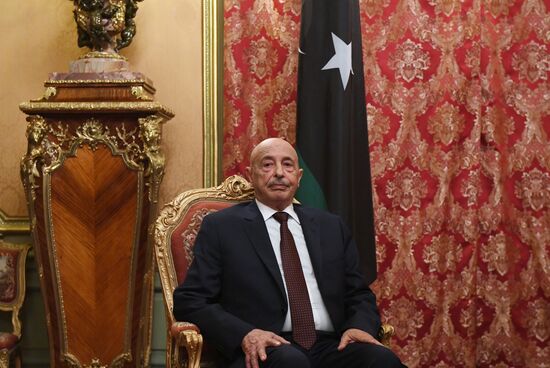 Встреча министра иностранных дел РФ С.В. Лаврова с председателем парламента Ливии А. Салехом
