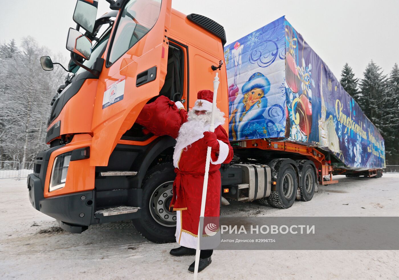 Отправка главной новогодней елки России в Кремль