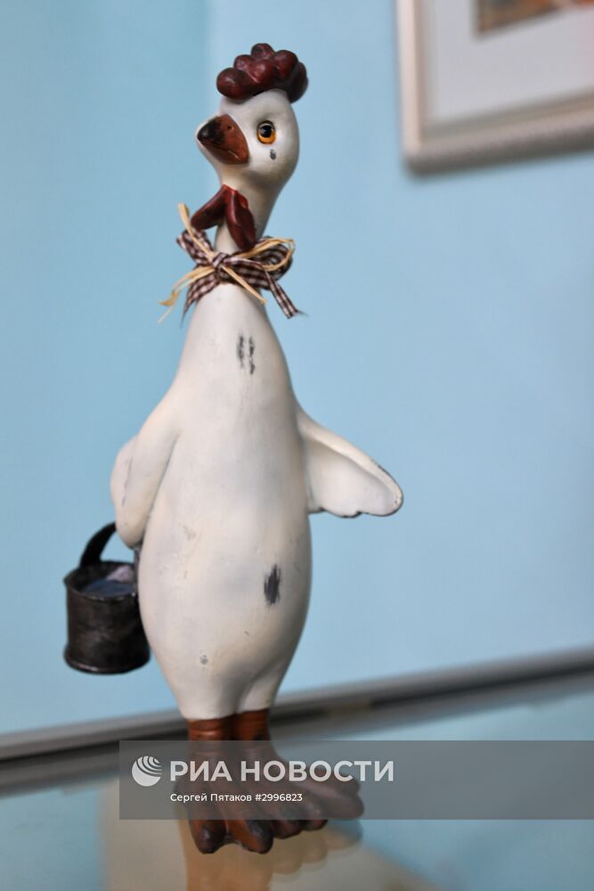 Музей Петуха в Петушках