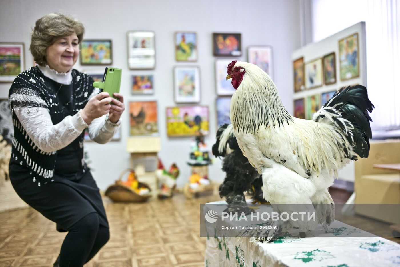 Музей Петуха в Петушках