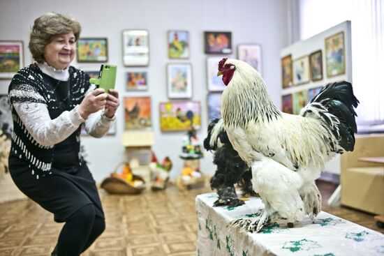 Музей Петуха в Петушках