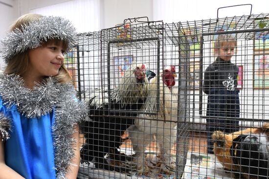 Музей Петуха в Петушках