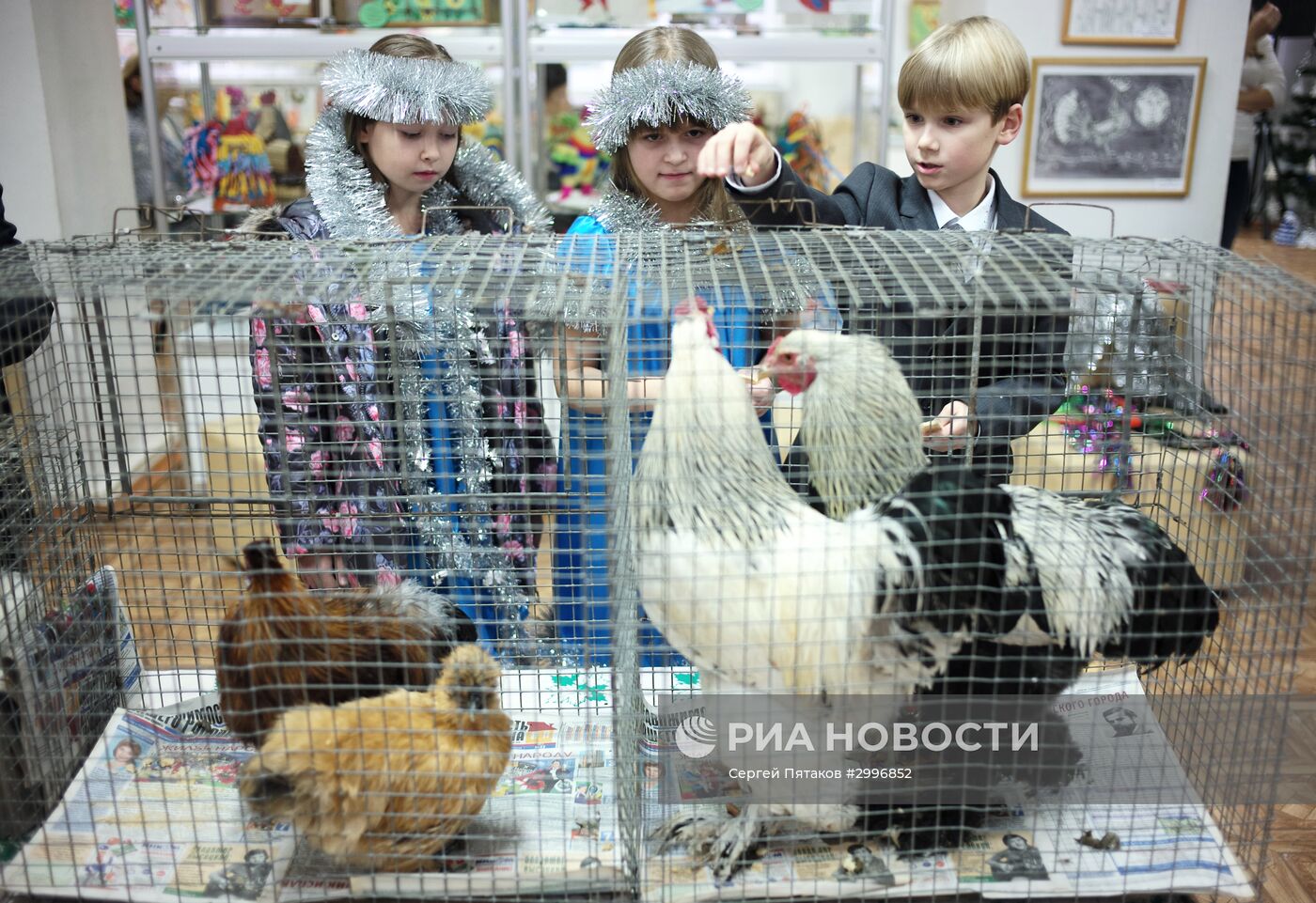 Музей Петуха в Петушках