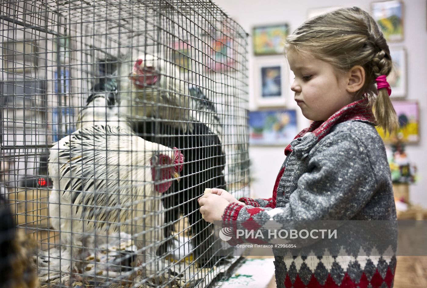 Музей Петуха в Петушках