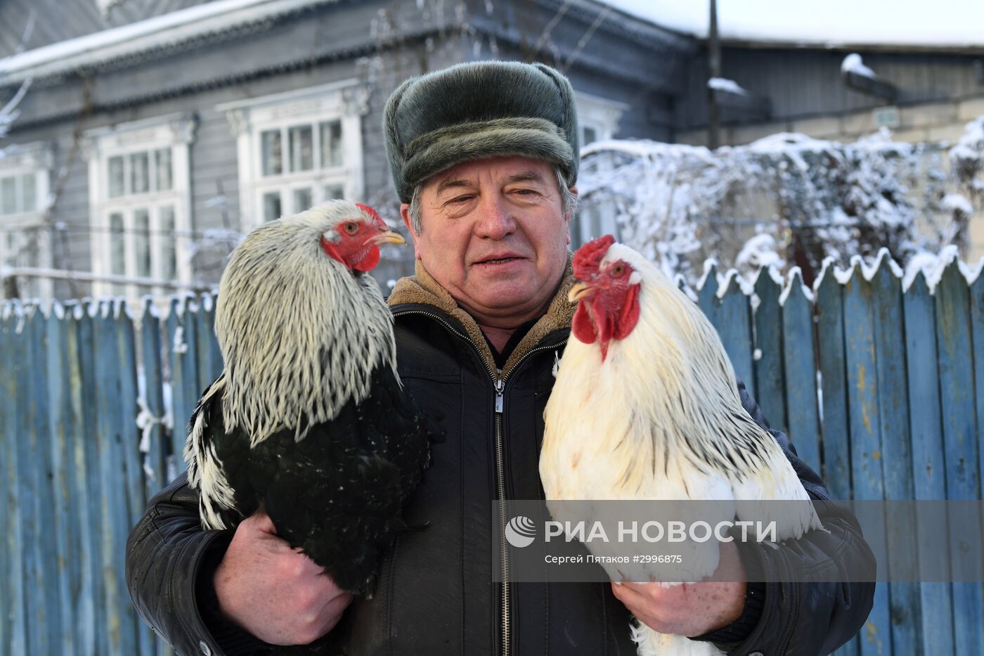 Музей Петуха в Петушках